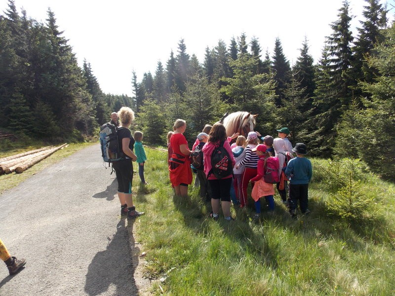 Školní výlet do Krkonoš - červen
